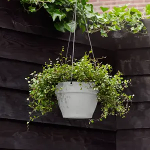 elho Vibia Campana Living Concrete Hanging Planter - image 1