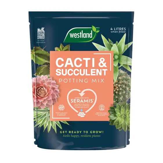 Westland Cacti & Succulent Potting Mix 4L - image 1