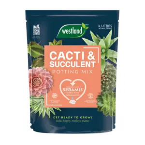 Westland Cacti & Succulent Potting Mix 4L - image 1