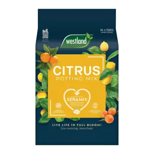 Westland Citrus Potting Mix 10L - image 1