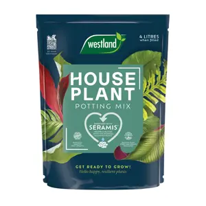 Westland Houseplant Potting Mix 4L - image 1