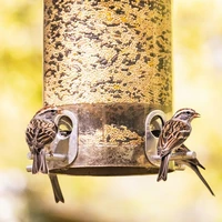 Wild Bird Care