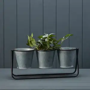 Windowsill Herb Pot Trio