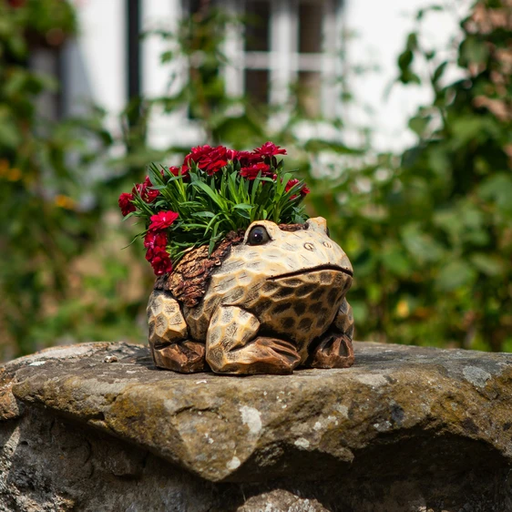 Woodland Frog Planter