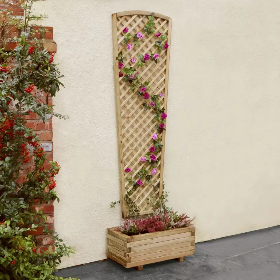 Zest Hillside Fan Trellis - Cowell's Garden Centre | Woolsington