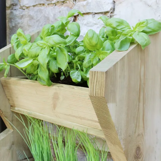 Zest Vertical Herb Stand - image 2