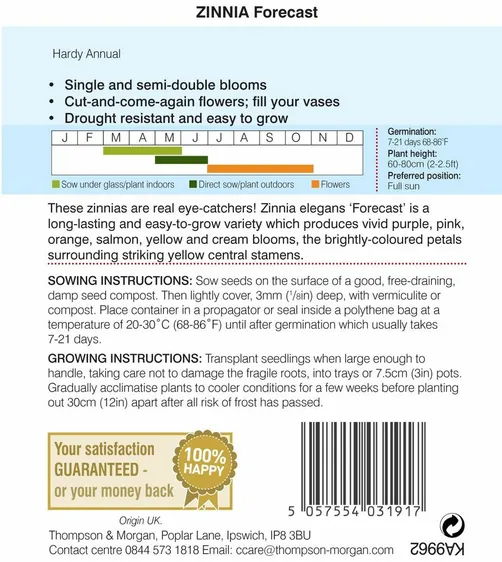 Zinnia Forecast - image 2