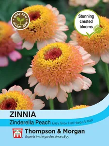 Zinnia Zinderella Peach - image 1
